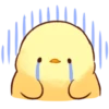 Soft and Cute Chick 29