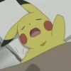 Pikachu 27