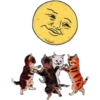 Kawaii 5