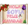 HOLA
SOFIA
FELIZ F
NAVIDAD
CTELO
