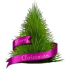 Navidad Magenta #2 8