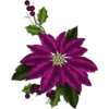 Navidad Magenta #2 9