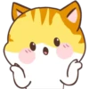 YellowCat     (Clásica) 6