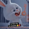la llave de
tu corazón
