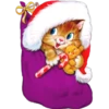 Navidad Magenta 6