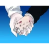 "Hello, Charlotte!" 6