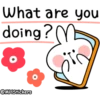 Spoiled rabbit messages 7