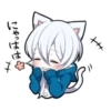 White Kitten 8