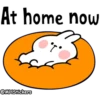 Spoiled rabbit messages 13