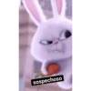 sospechoso