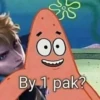 patrick 13