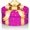 Navidad Magenta #2 16