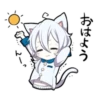 White Kitten 11
