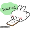 Spoiled rabbit messages 15