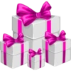 Navidad Magenta 14