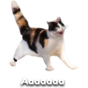 Random Cute Animals 18