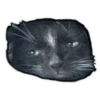 Rare cats 15