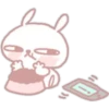 Bunny ojitos mix       (C) 13