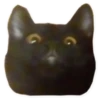 Rare cats 16