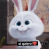 si quiero!