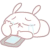 Bunny ojitos mix       (C) 15