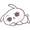 Bunny ojitos mix       (C) 16