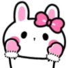 Rabbit Winter 22