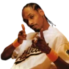 snoop dog 9