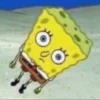 Spongebob 24
