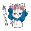 White Kitten 16
