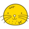 FaceEmoji【pm】 25