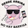 DESDE ARRIBA
El bien del
puerco
NO HAY BARRIGA