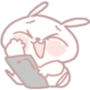 Bunny ojitos mix       (C) 20