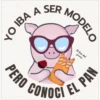 PERO
A SER
YO IBA
MODELO
El Gien del
pueres
CONOCI EL PAN