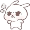 Bunny ojitos mix       (C) 21