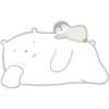 Polar & Pingües   ‍ ️ (C) 16