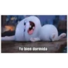 Yo bien dormida