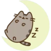 NN