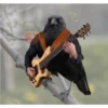 Animales Brazos 1 7