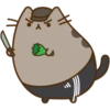 Pusheen The Cat 7