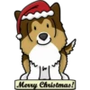 Merry Christmas!