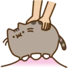 Pusheen The Cat 8