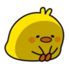 Plump Little Chick 10