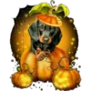 Halloweenie 1 Clásica 7