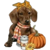 Halloweenie 1 Clásica 8