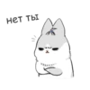 RABBITPYL 6