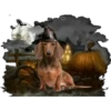 Halloweenie 1 Clásica 10