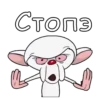Pinki_Brein 5