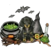 Halloweenie 1 Clásica 11