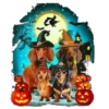Halloweenie 1 Clásica 13